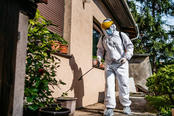 Best Residential Pest Control  in Carefree, AZ