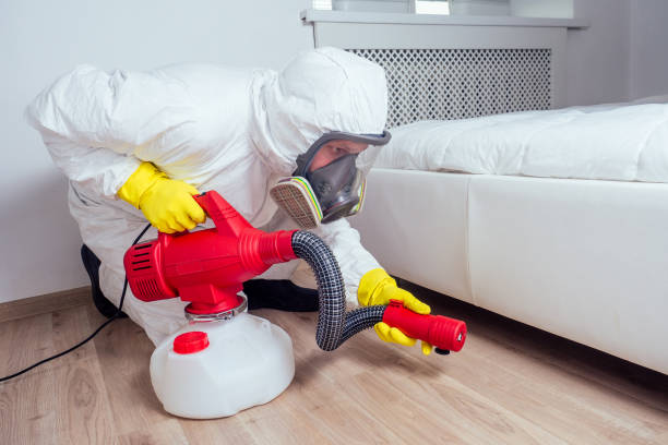 Best Affordable Pest Control Services  in Carefree, AZ